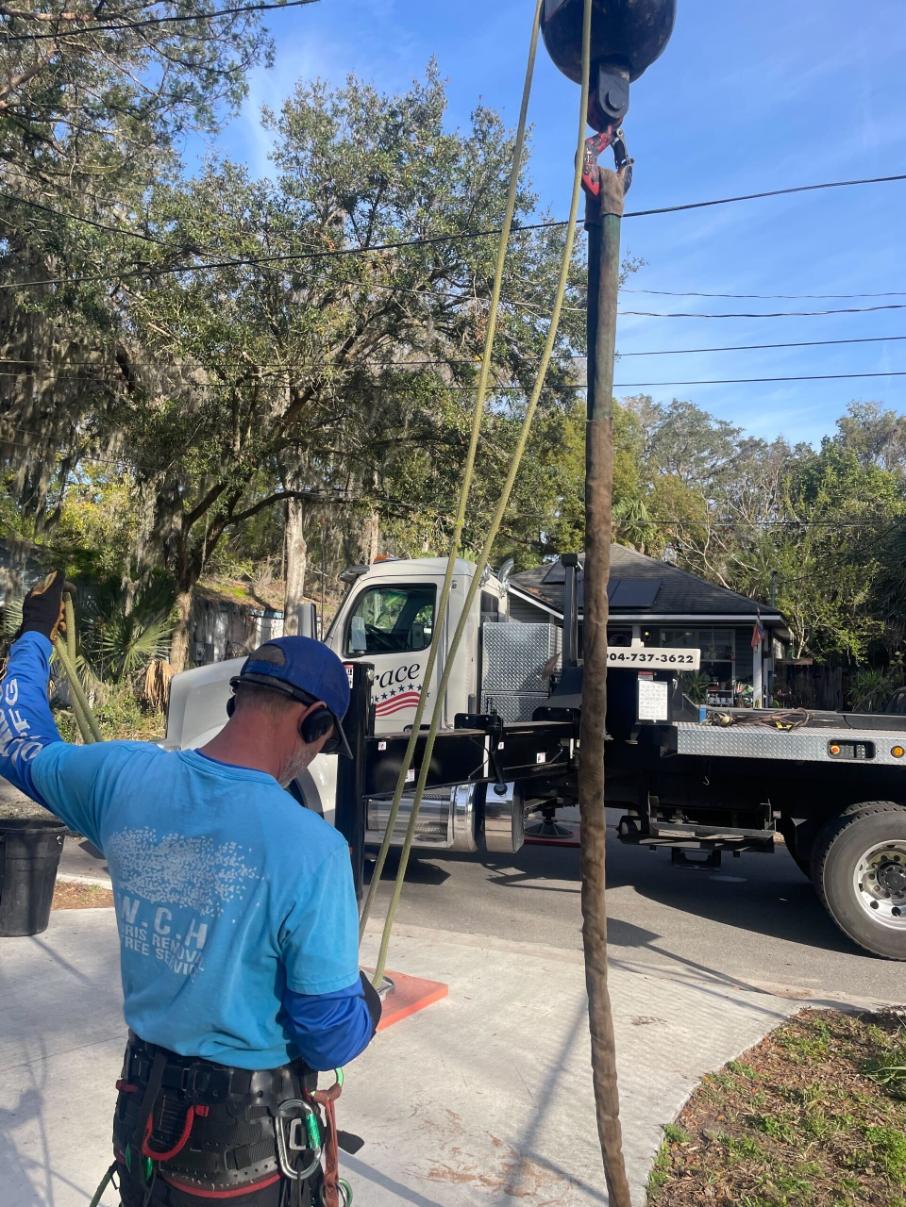 Careers - WCH Tree Trimming and Debris Removal